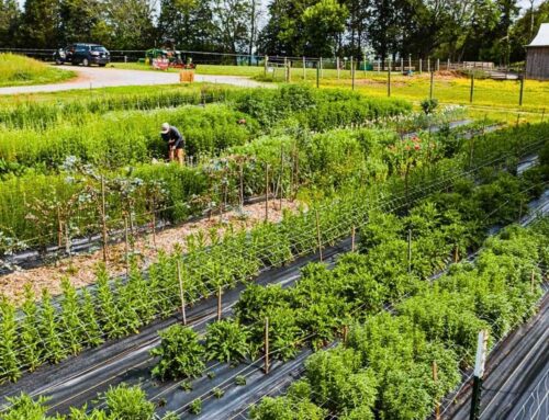 Introducing SoilReport.ca