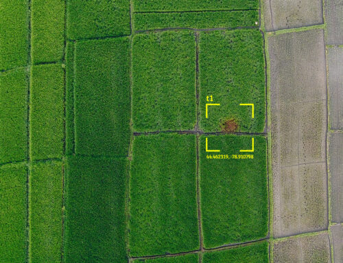 Precision Agriculture at Field Level Resolution